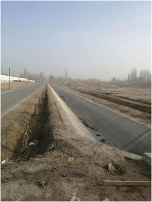 万物新生初春月 民族融情植基层