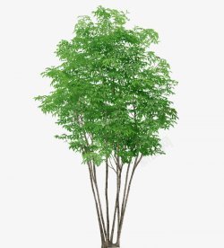 视觉合成与灵感素材 从杰视帮到影视海报设计的全链路探索