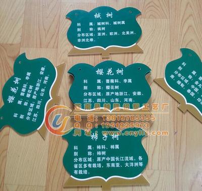 校园绿化新亮点 卡通树木挂牌，让树木也有“身份证”