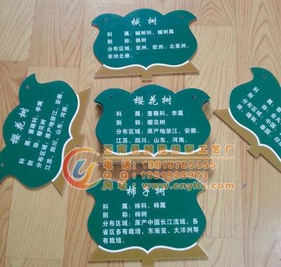 校园卡通树木挂牌 趣味科普新选择